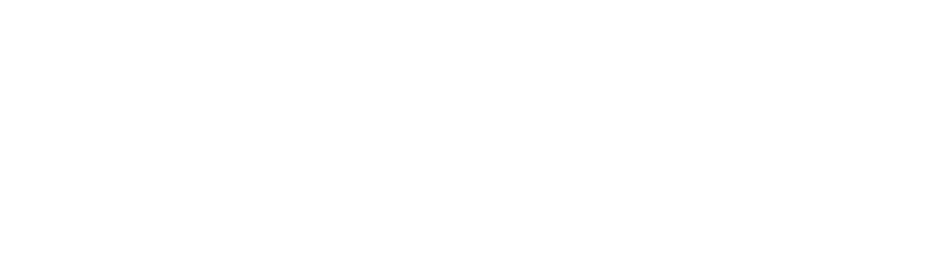 Talento Company